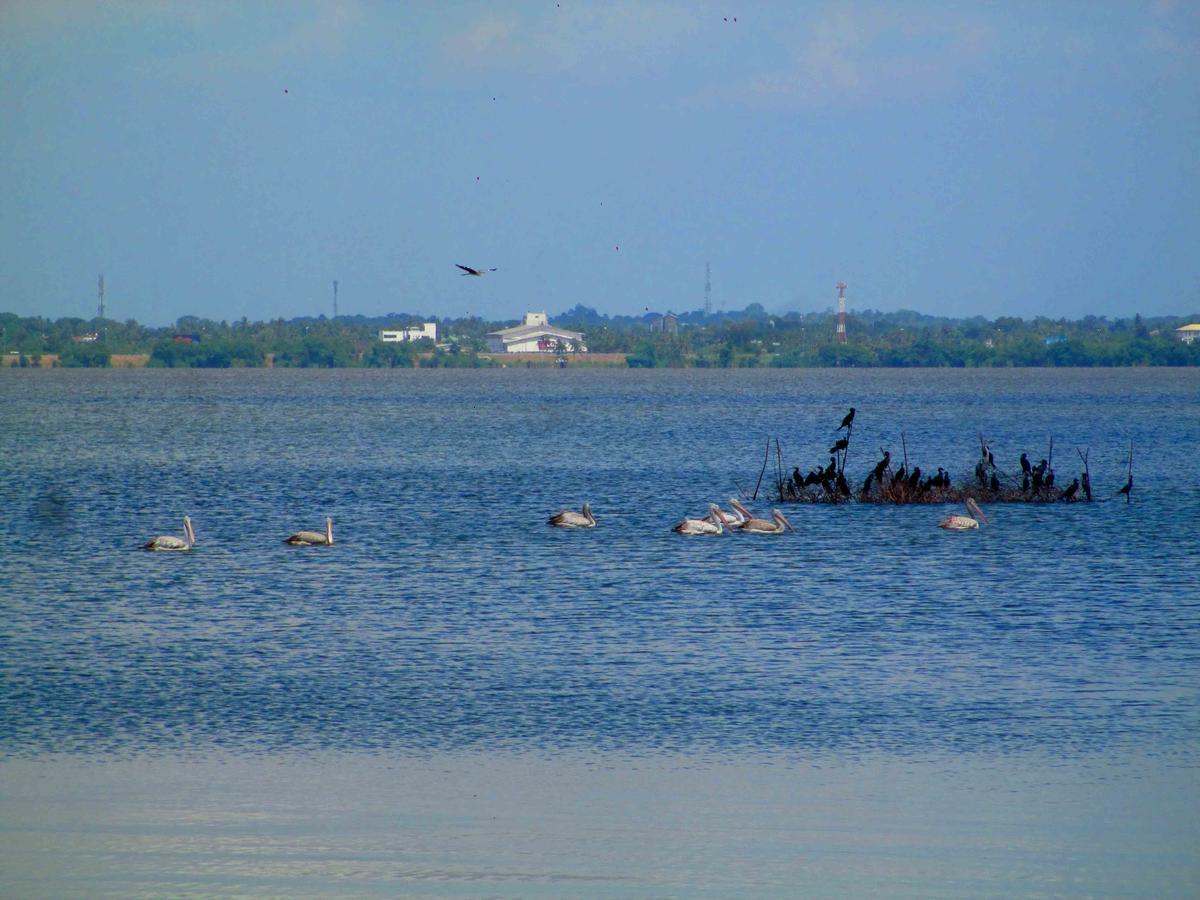 Nico Lagoon Hotel Negombo Dış mekan fotoğraf