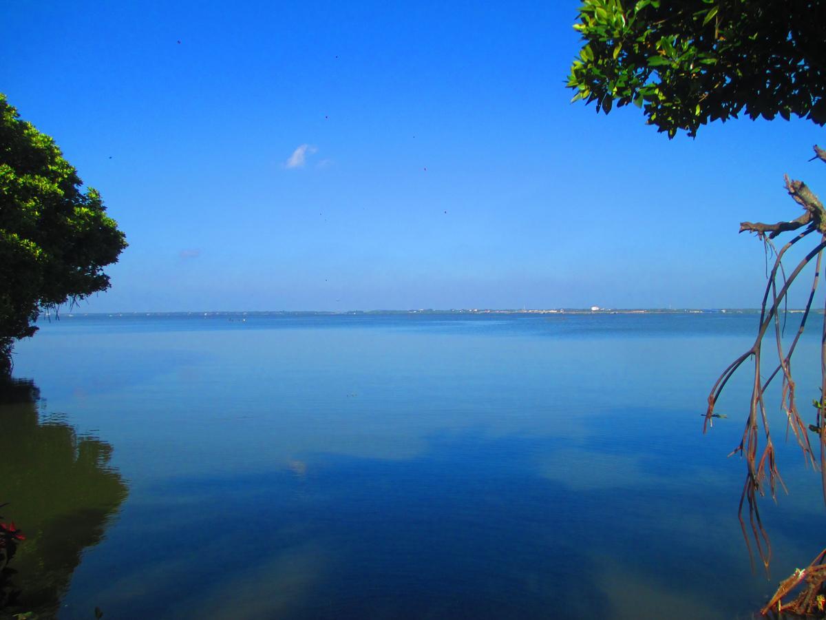 Nico Lagoon Hotel Negombo Dış mekan fotoğraf